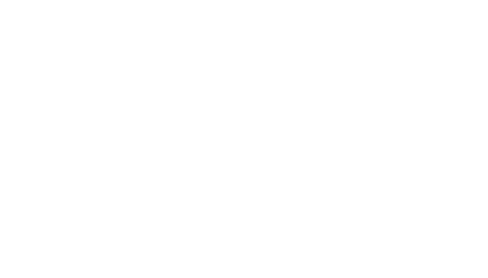 Ant Digital Technologies