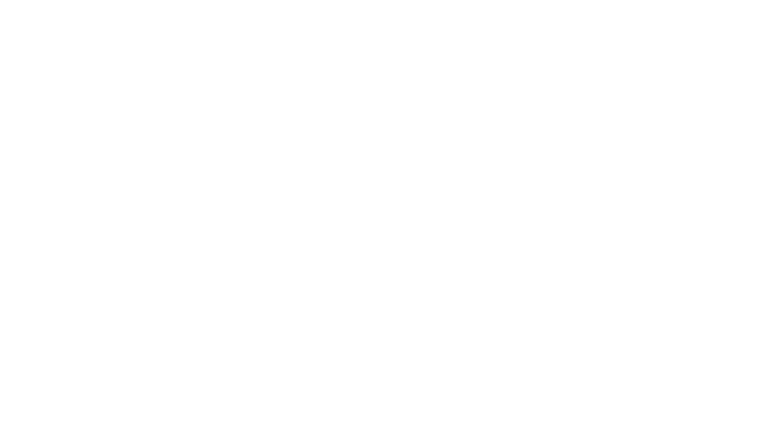 Artificial Intelligent Interconnection Technology Co., Ltd.