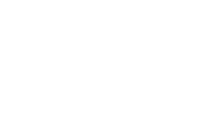 Gotion