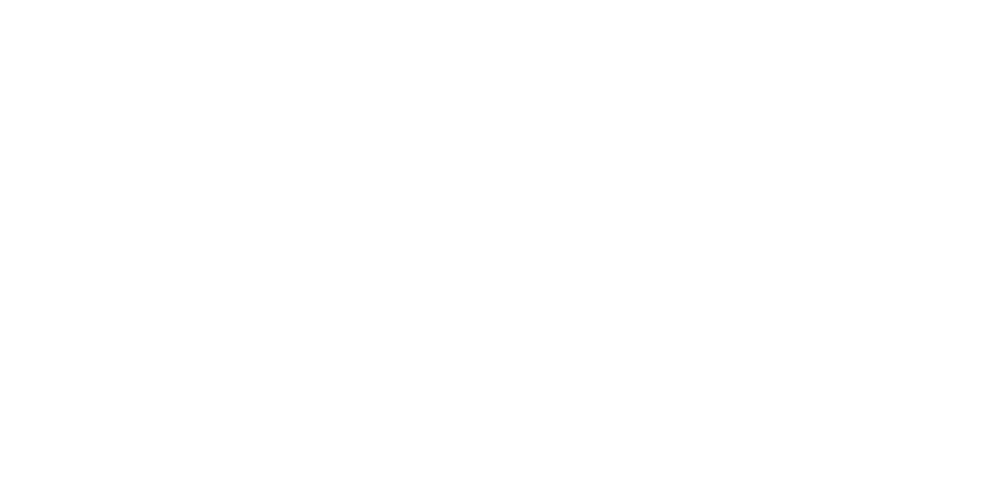 Strategic Partner