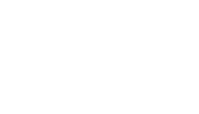 Mega Sponsor