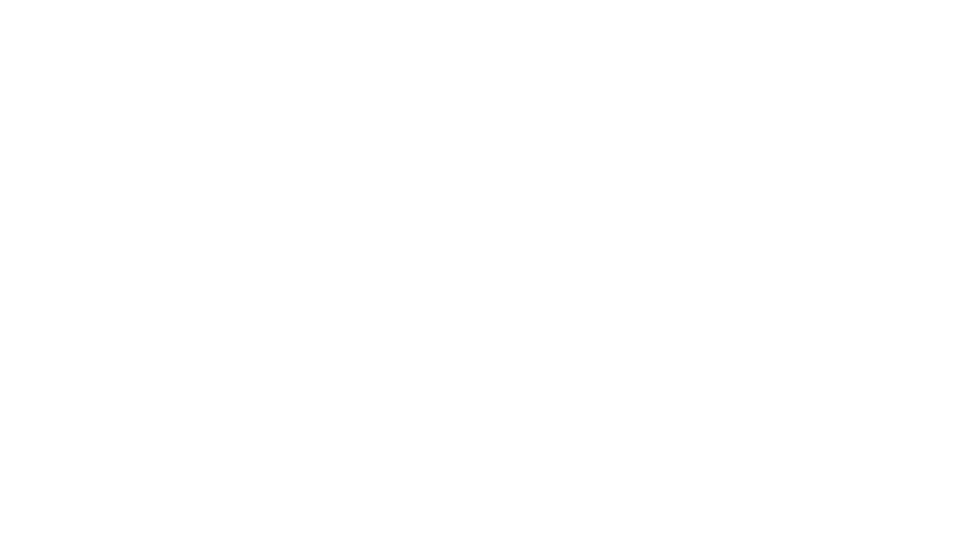 Mega Sponsor